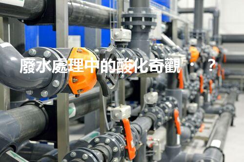 廢水處理中的酸化奇觀？
